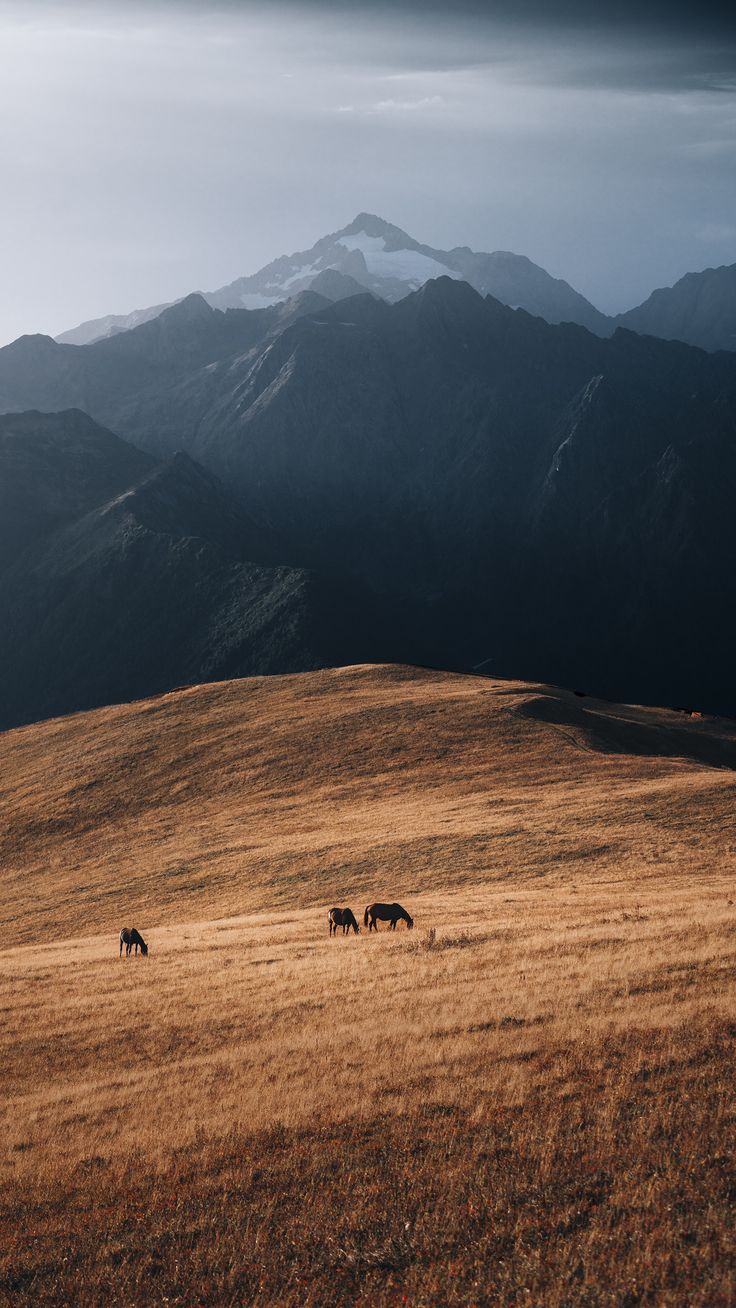 A2V2 clinical AI chatbot interface showing patient conversation workflows